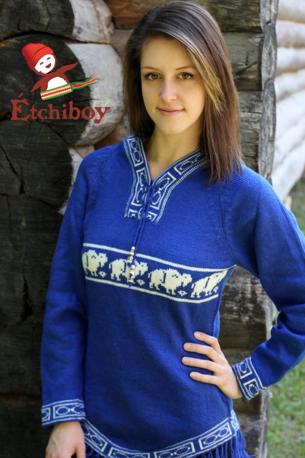Hooded Blue Sweater With Bisons Chandail Bleu Avec Capuchon Avec Bisons 1