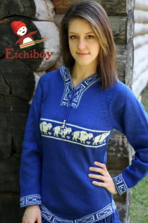 Hooded Blue Sweater With Bisons Chandail Bleu Avec Capuchon Avec Bisons