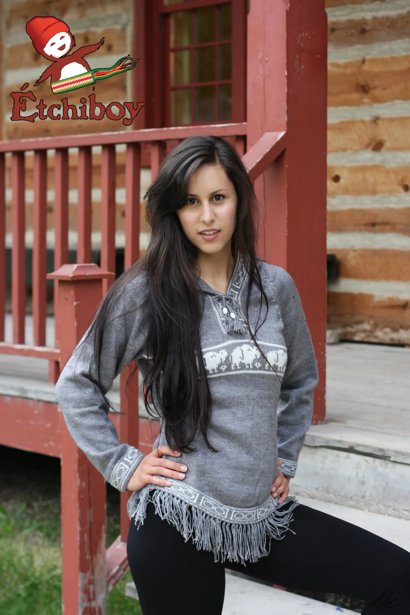 Hooded Grey Sweater With Bisons Chandail Gris Avec Capuchon Avec Bisons