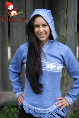 Hooded Light Blue Sweater With Bisons Chandail Bleu Pâle Avec Capuchon Avec Bisons