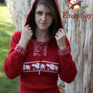 Hooded Red Sweater With Bisons Chandail Rouge Avec Capuchon Avec Bisons