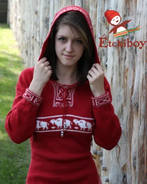 Hooded Red Sweater With Bisons Chandail Rouge Avec Capuchon Avec Bisons