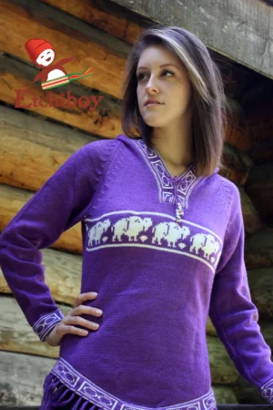 Hooded Violet Sweater With Bisons Chandail Violet Avec Capuchon Avec Bisons