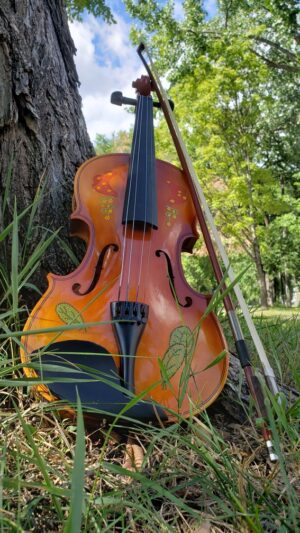 Fiddle Violoncelle Metis Etchiboy